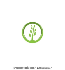 leaf logo, green logo , growth logo vector template