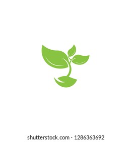 leaf logo, green logo , growth logo vector template