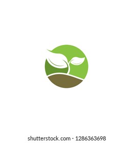 leaf logo, green logo , growth logo vector template