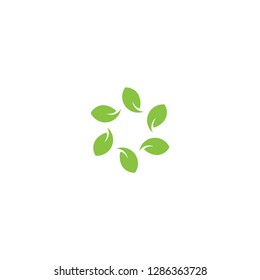 leaf logo, green logo , growth logo vector template
