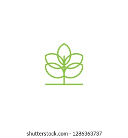 leaf logo, green logo , growth logo vector template