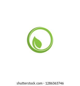 leaf logo, green logo , growth logo vector template