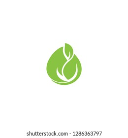 leaf logo, green logo , growth logo vector template