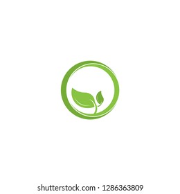 leaf logo, green logo , growth logo vector template