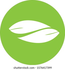 Leaf logo green  nature trees leaves