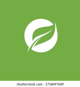 Leaf logo green nature vector image