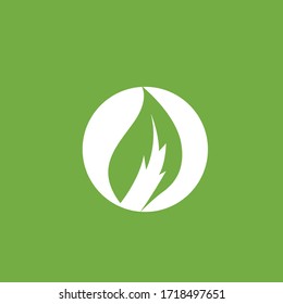 Leaf logo green nature vector image