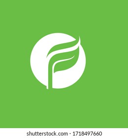Leaf logo green nature vector image
