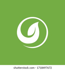 Leaf logo green nature vector image