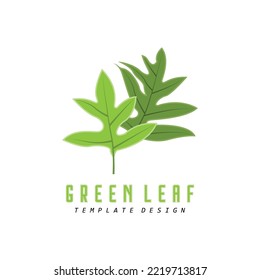 Leaf Logo Green Plant Design Leaves Of Trees Product Brand Template Illustration