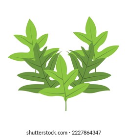 Leaf Logo Green Plant Design Leaves Of Trees Product Brand Template Illustration
