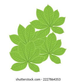 Leaf Logo Green Plant Design Leaves Of Trees Product Brand Template Illustration