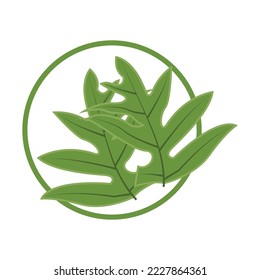 Leaf Logo Green Plant Design Leaves Of Trees Product Brand Template Illustration