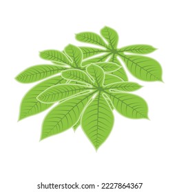 Leaf Logo Green Plant Design Leaves Of Trees Product Brand Template Illustration