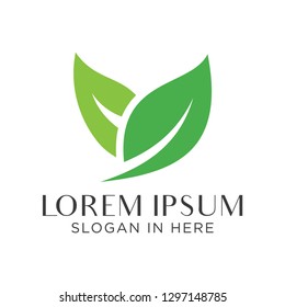leaf logo, green logo vector - Vector