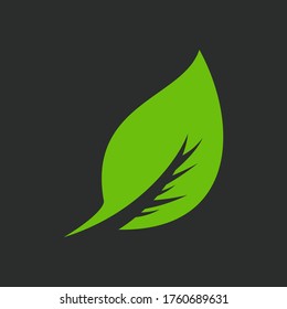 leaf logo, green logo vector eps 10