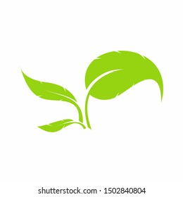 Leaf Logo icon design element