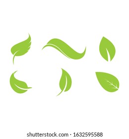 Leaf Logo icon design element