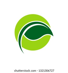 leaf logo icon design template vector