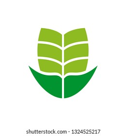 leaf logo icon design vector template