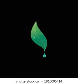 Icono de logotipo de hoja, plantilla de icono de la solapa de dew. 
