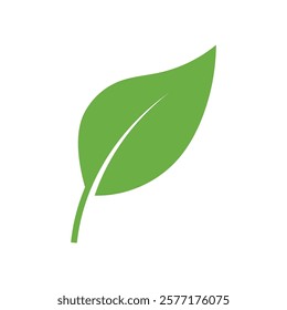 Leaf Logo Icon Graphic Background Template