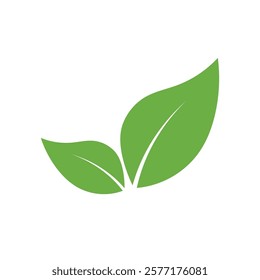 Leaf Logo Icon Graphic Background Template