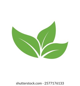 Leaf Logo Icon Graphic Background Template