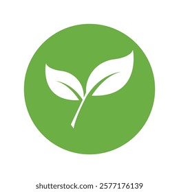 Leaf Logo Icon Graphic Background Template