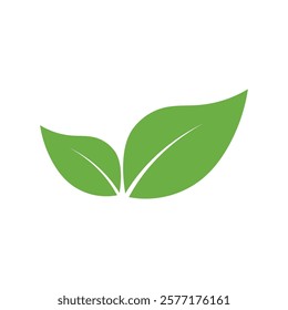 Leaf Logo Icon Graphic Background Template