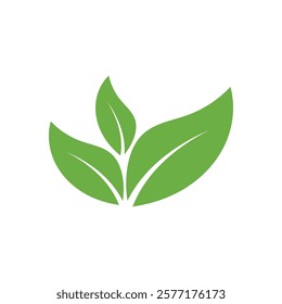 Leaf Logo Icon Graphic Background Template