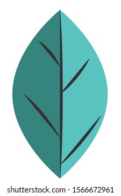 Leaf logo icon isolated on a white background. A beautiful trees leaf,divided in two colors.