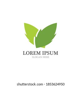  leaf logo and icon  nature element vector