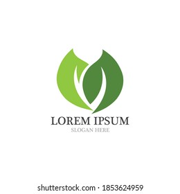  leaf logo and icon  nature element vector