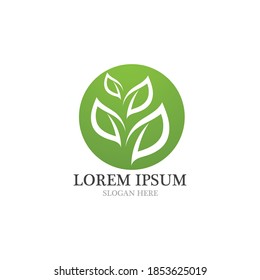  logotipo de hoja e icono vectores de elementos de naturaleza
