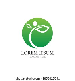  leaf logo and icon  nature element vector