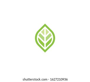 Leaf logo icon premium design template
