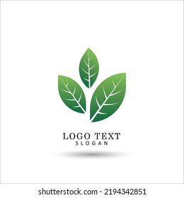 Leaf Logo. Icon and Symbol Template