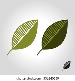 leaf logo, icon and symbol vector illustration