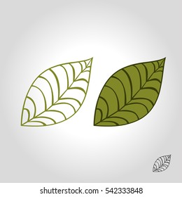 leaf logo, icon and symbol vector illustration