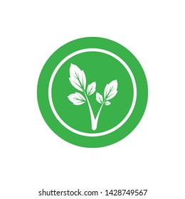 leaf logo icon template design nature