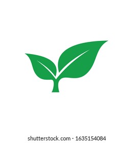 Leaf Logo, Leaf Icon And Leaf Vector