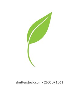 Leaf  logo icon  vector Illustration
