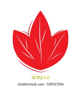 leaf logo, icon, vector illustration EPS 10