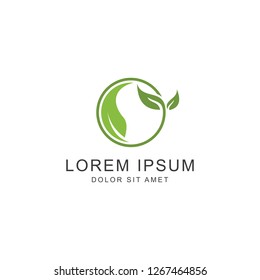 Leaf Logo, icon vector logo template