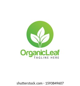 Leaf Logo and Icon Vector Template