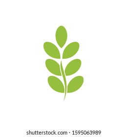 Leaf Logo and Icon Vector Template