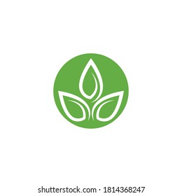 Leaf logo and icon vector template design
