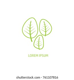 Leaf Logo Icon Vector Template