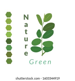 leaf logo icon vektor or element your logo